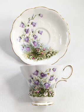 Royal Albert Sunnyside Series Juliet Teacup & Saucer English Fine Bone China